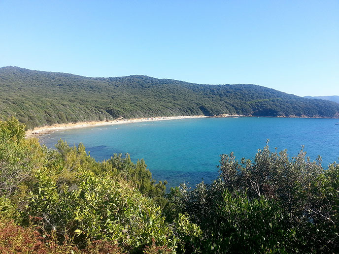 Spiaggia di Cala Violina