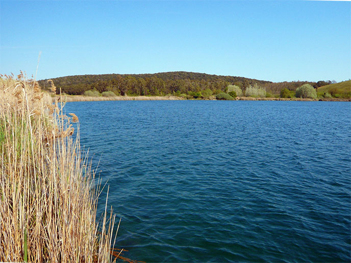 Lago dell'Accesa